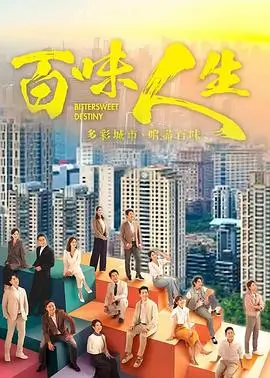 苹果影视热播剧集雾港回声海报